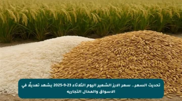 تحديث السعر.. سعر الأرز الشعير اليوم الثلاثاء 23-9-2025 يشهد تعديلًا في الأسواق والمحال التجارية
